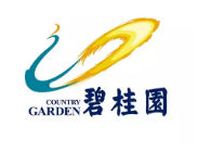 大观碧桂园地产